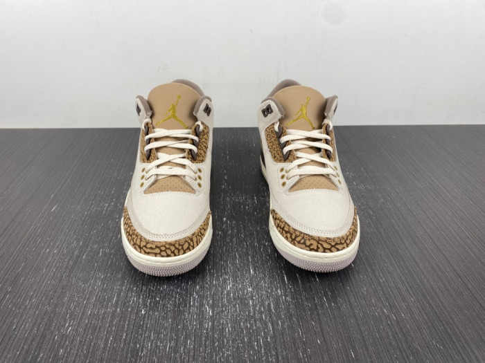 Air Jordan 3 “Palomino” CT8532-102